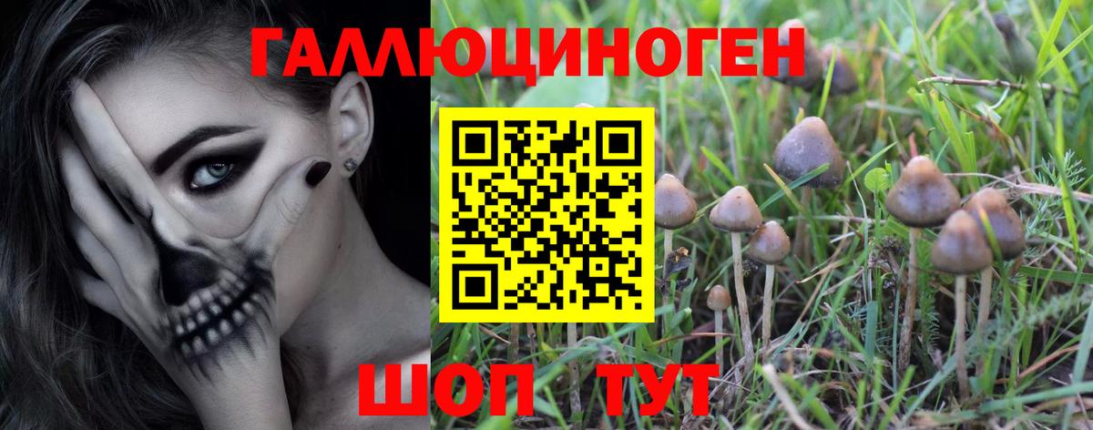 Батайск  Псилоцибиновые грибы Magic Shrooms  Галлюциногенные грибы GOLDEN TEACHER  Вход с VPN 