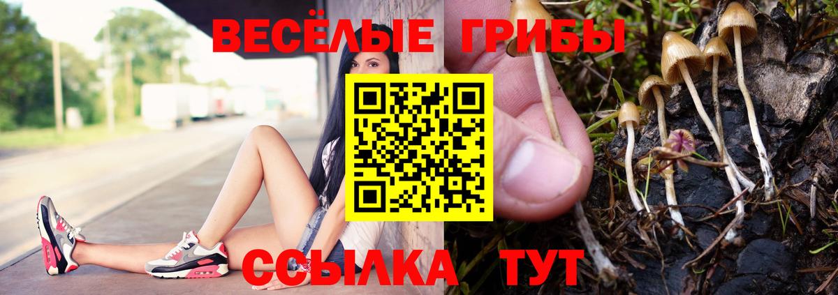 Псилоцибиновые грибы Cubensis Батайск
